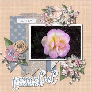 jcon-july26-temp-Lowkey-Flower-DD-kit.jpg