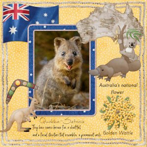 Quokka.jpg