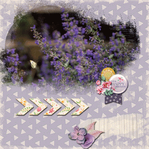 07-July-26-Photography-Challenge.gif