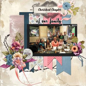 Cherished Chapter