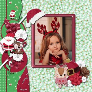 Reindeer