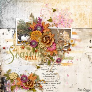 Season - Fall