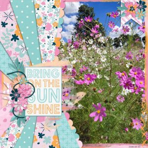2026-03-30_BringOnTheSunshine
