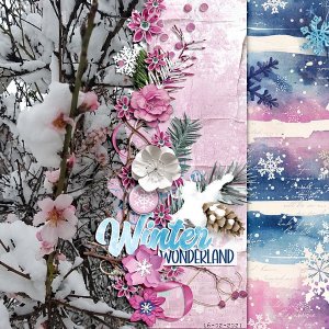 Winter wonderland