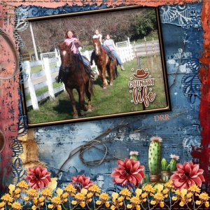 2026 - EM C A Horses.jpg