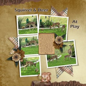 Deer Squirrel Playtime