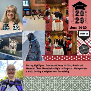2026-week25.jpg
