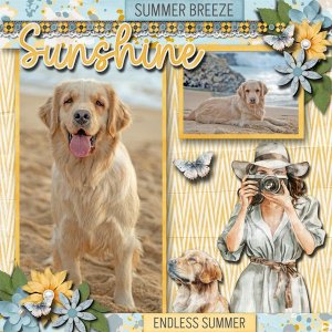 Endless Summer