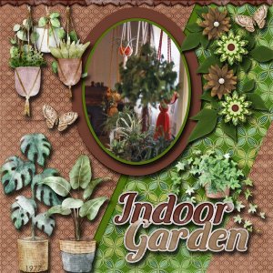 Indoor Garden