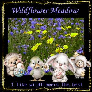 Wildfower Meadow.jpg