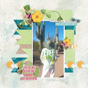 Arizona-webv.jpg