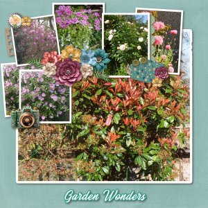 Garden Wonders
