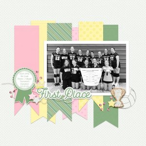 Volleyball Tournament Champions 2024