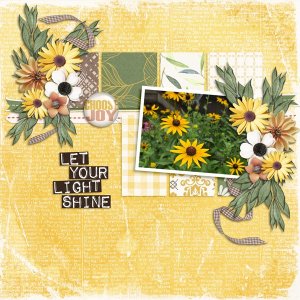 Black Eyed Susan-Just Because with Incredible Life14 Temp #2-Just Because.jpg