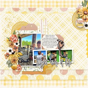 JBS-IncredibleLife14-tp1-copy.jpg