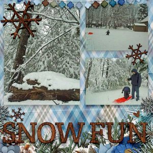 Snow Fun