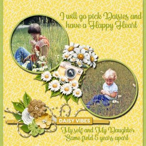Field of Daisies