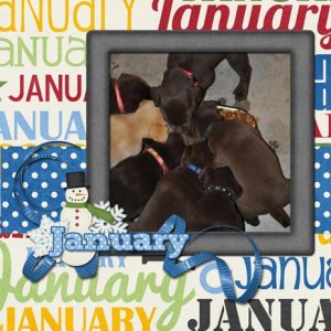 A Year in the Life - January
