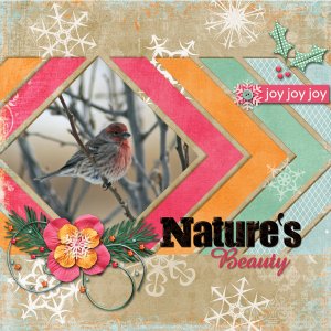 Nature's Beauty