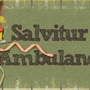 156-11-12-SalviturAmbulandoByCFALBRO