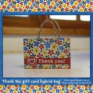 Hybrid Gift Card Bag