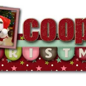 dec-2012-siggy