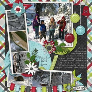 December 2012 Snow