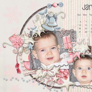 2013 Desktop Wallpaper - January