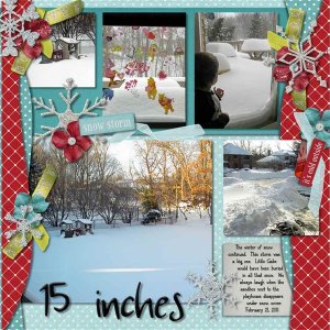 15 inches