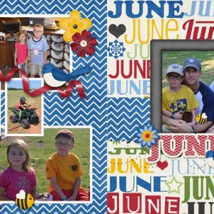 Year in the Life - June