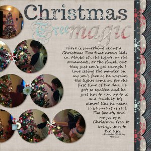 Wonder of the Christmas Tree