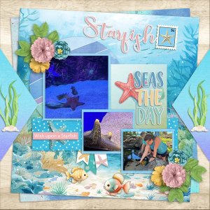 Starfish-web.jpg