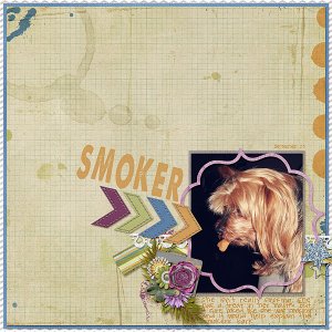 161-12-12-SmokerByCFALBRO