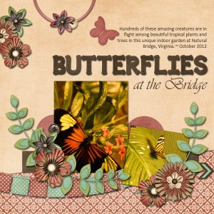 Butterflies at the Bridge