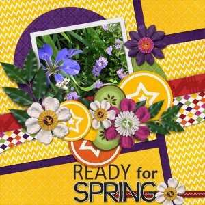 Ready For Spring