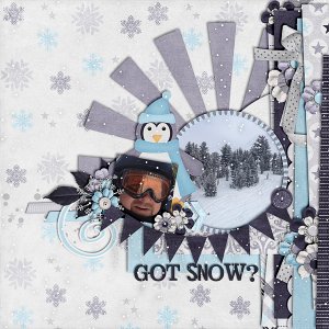 Got Snow?