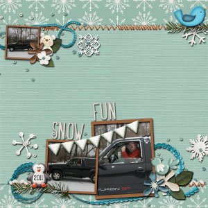 Snow Fun