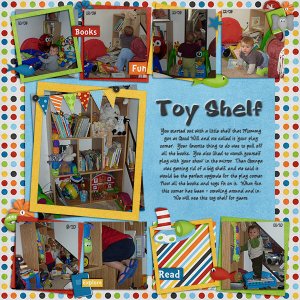 Toy Shelf