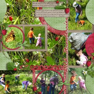 Wild Strawberries