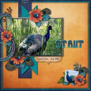 Strut