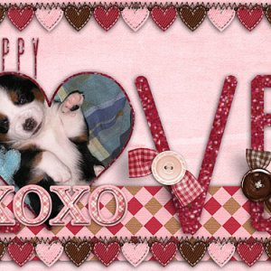 Puppy Love