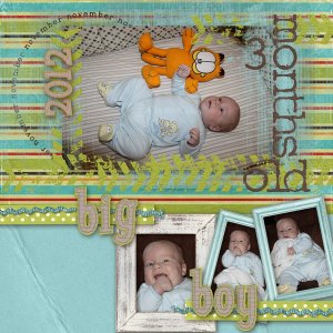 3 Months Old