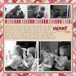 Feb22-29b20121