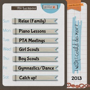 Goals for 2013
