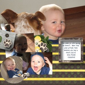 trey-dog-food