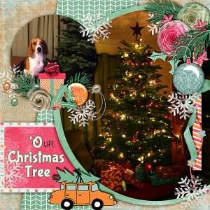 'Our Christmas Tree