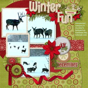 Winter Fun
