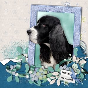 My Sweet Old Boy