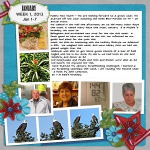 2013_Week1