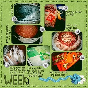 365 2013: Week 2